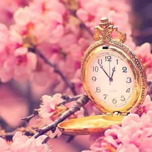 Meet your Posher, Yuki